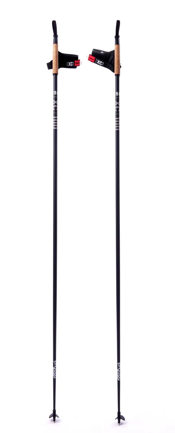 Kije biegowe Longway 100% Carbon